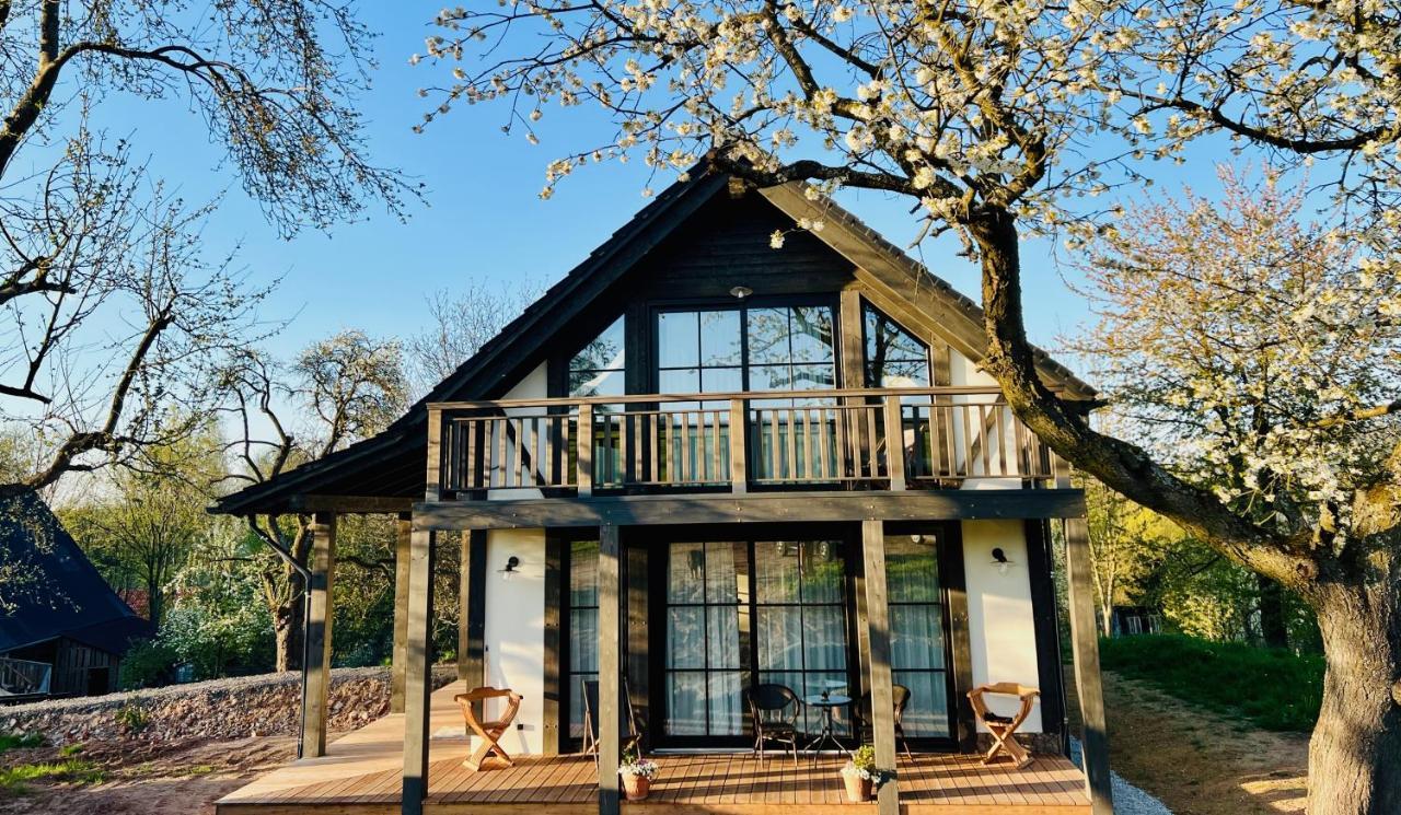 Bed & Breakfast Greta Swierzawa